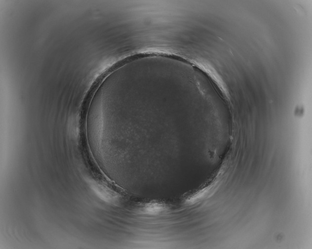 X0000094960204200711291448