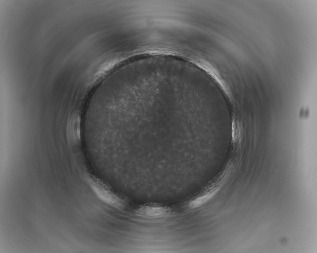 X0000094960205200711291448