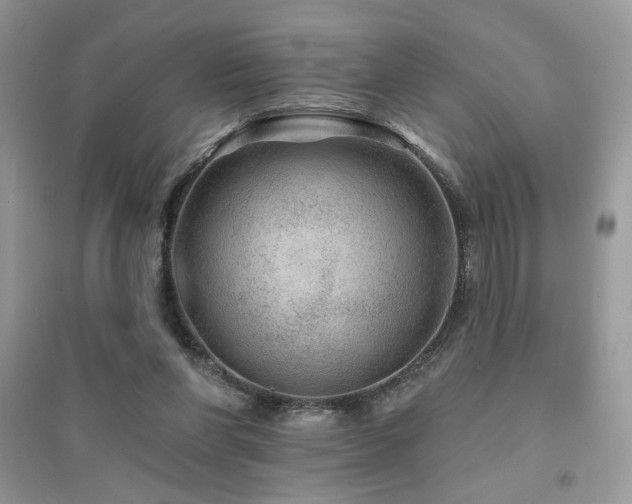 X0000094960206200711291448