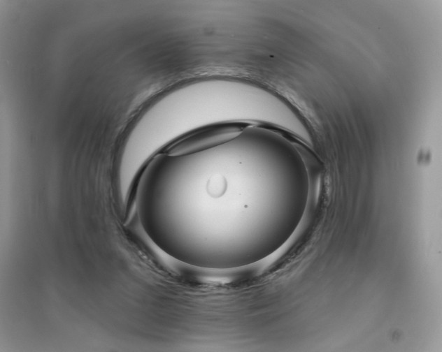 X0000094960207200711291448