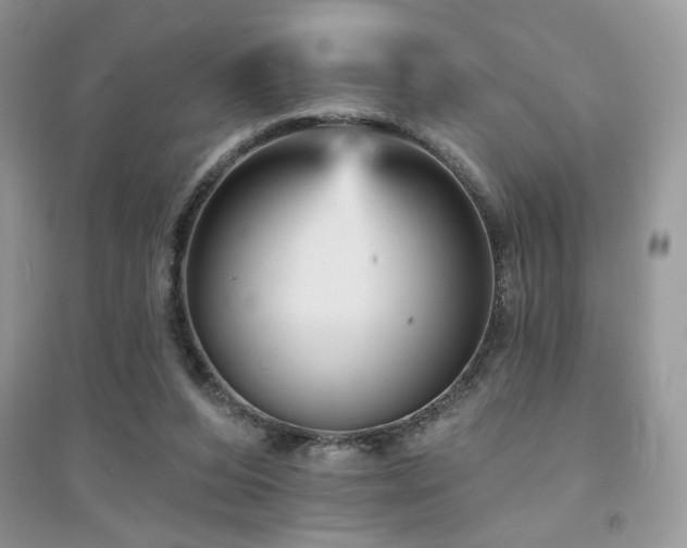 X0000094960208200711291448