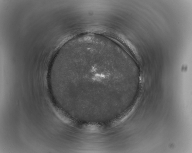 X0000094960209200711291448