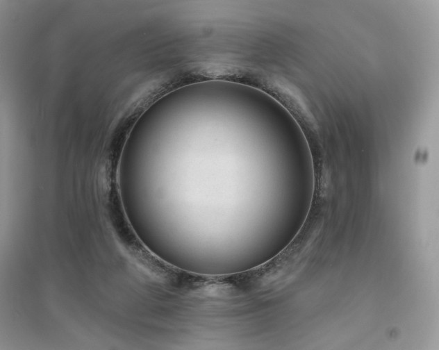 X0000094960210200711291448