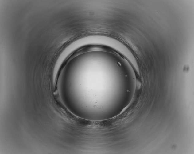 X0000094960211200711291448