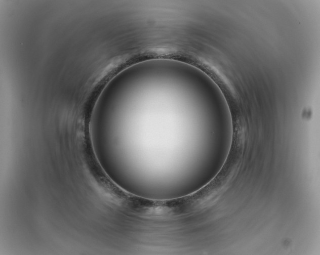 X0000094960212200711291448