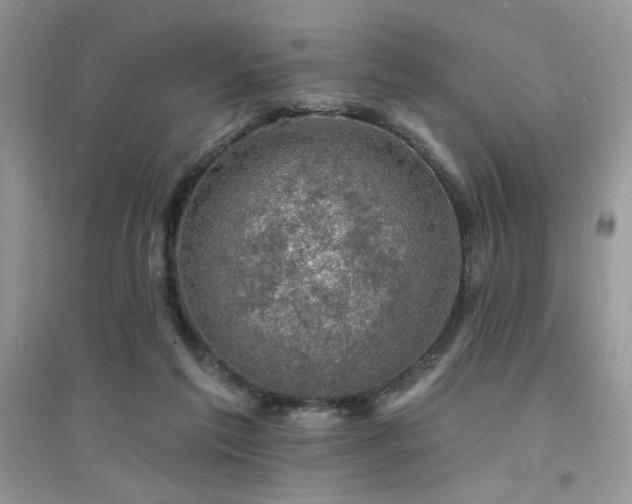 X0000094960213200711291448