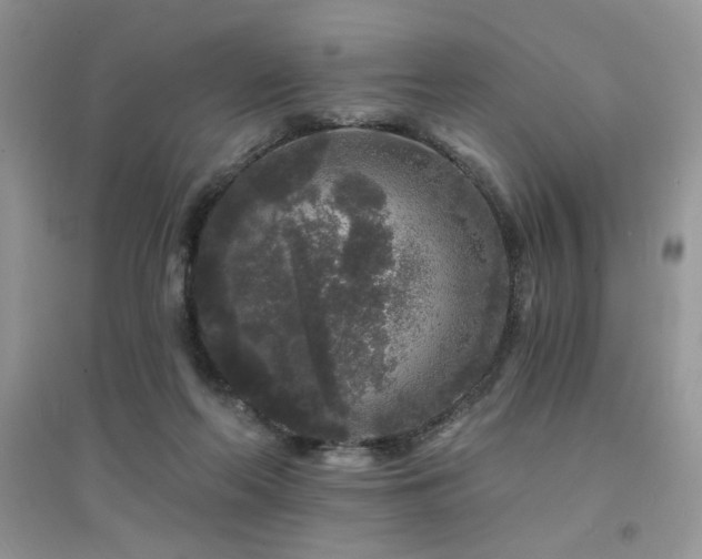 X0000094960214200711291448