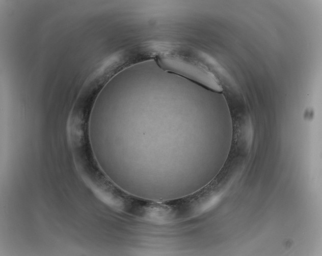 X0000094960215200711291448