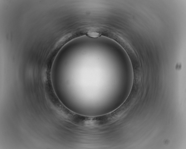 X0000094960216200711291448