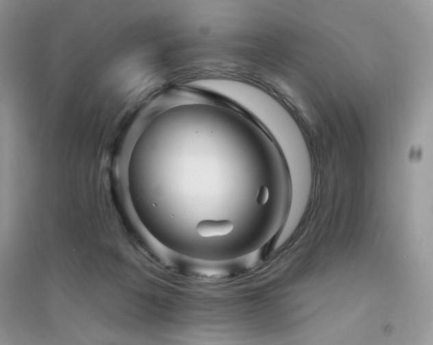 X0000094960217200711291448