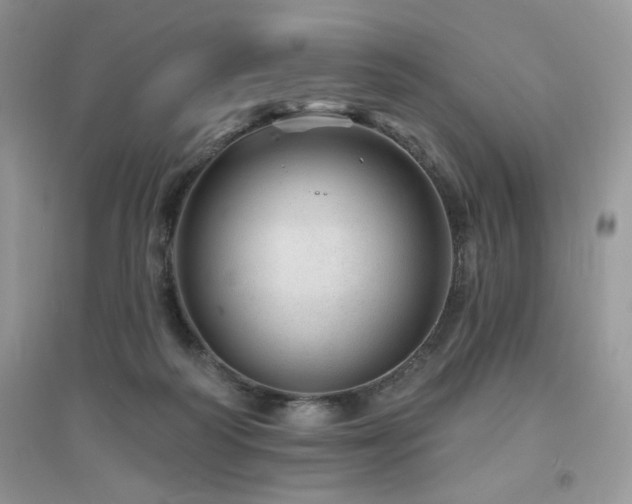 X0000094960218200711291448