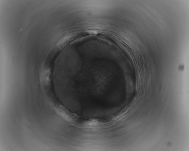 X0000094960219200711291448