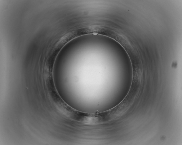 X0000094960220200711291448