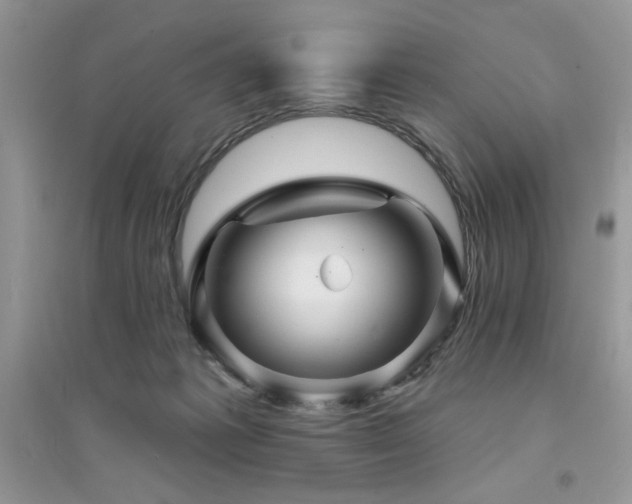 X0000094960221200711291448