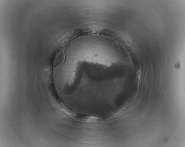 X0000094960222200711291448