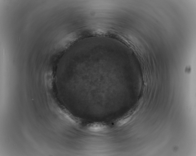 X0000094960223200711291448