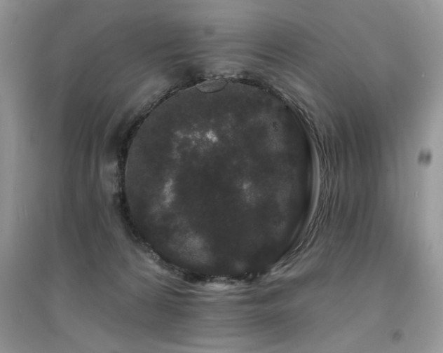 X0000094960224200711291448