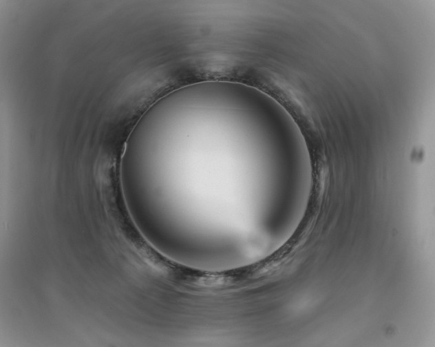 X0000094960225200711291448