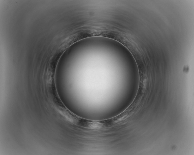 X0000094960226200711291448