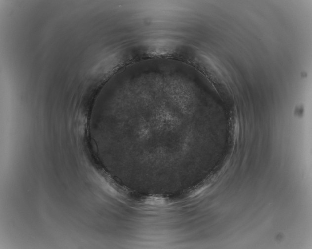 X0000094960227200711291448