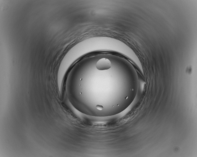 X0000094960228200711291448