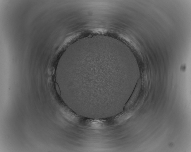 X0000094960229200711291448