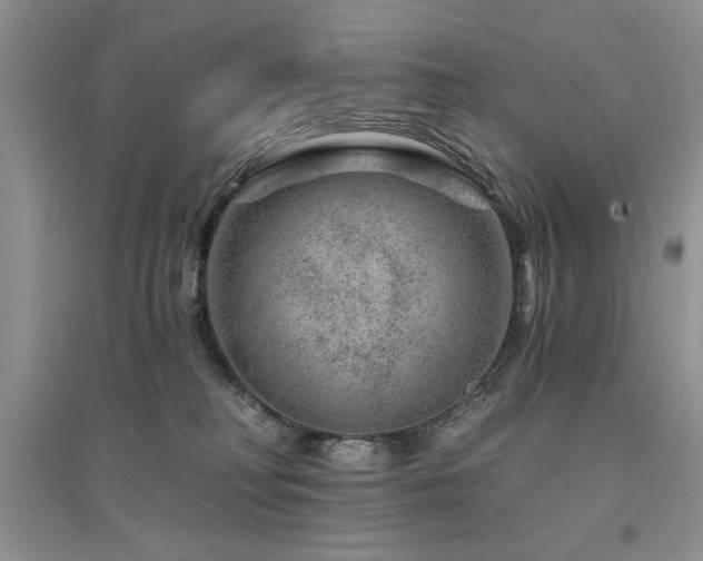 X0000094960230200711291448