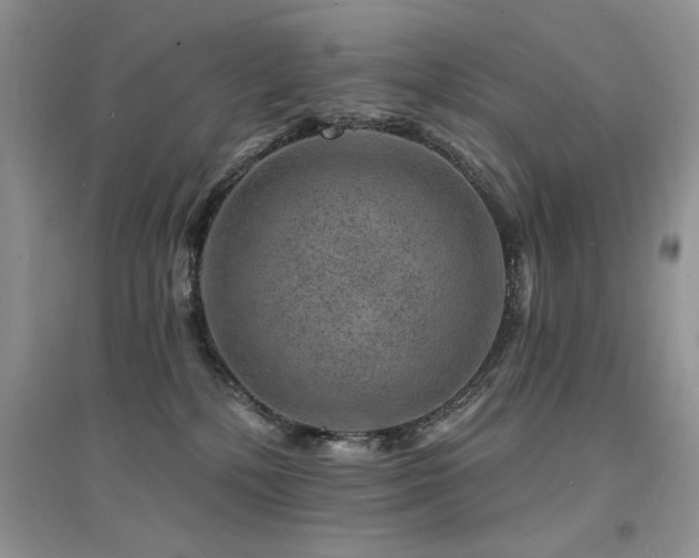 X0000094960232200711291447