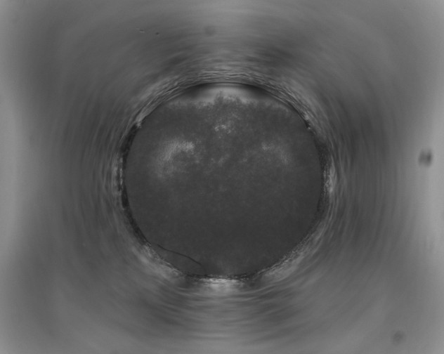 X0000094960233200711291447