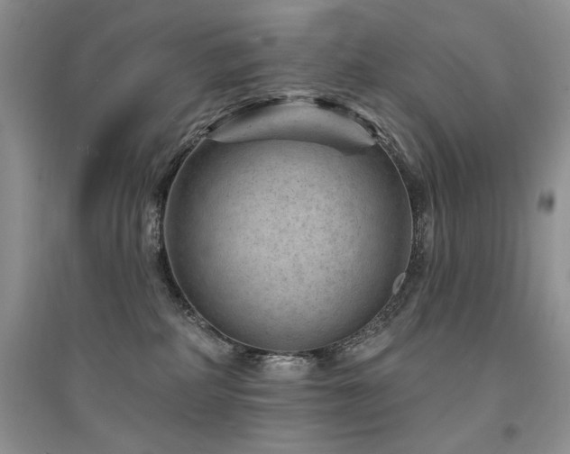 X0000094960234200711291447