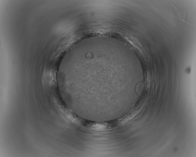 X0000094960236200711291447