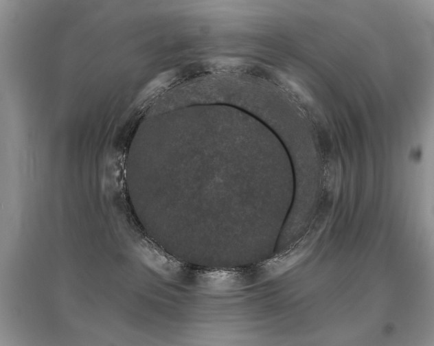 X0000094960237200711291447