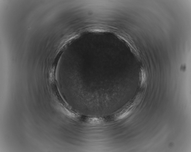 X0000094960239200711291447