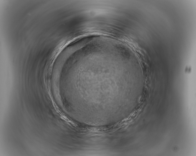 X0000094960241200711291447