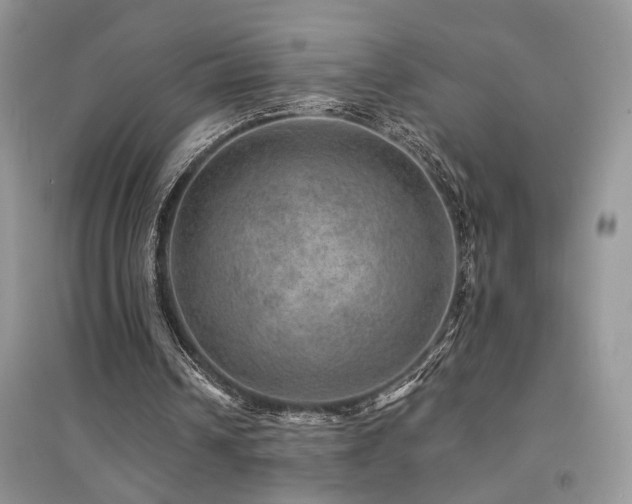 X0000094960242200711291447