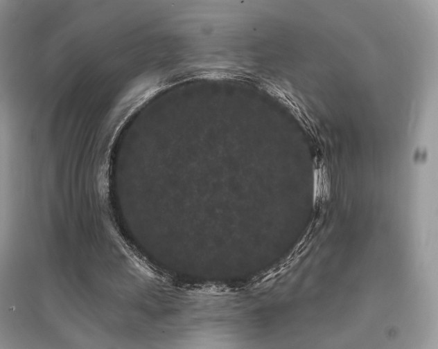 X0000094960243200711291447