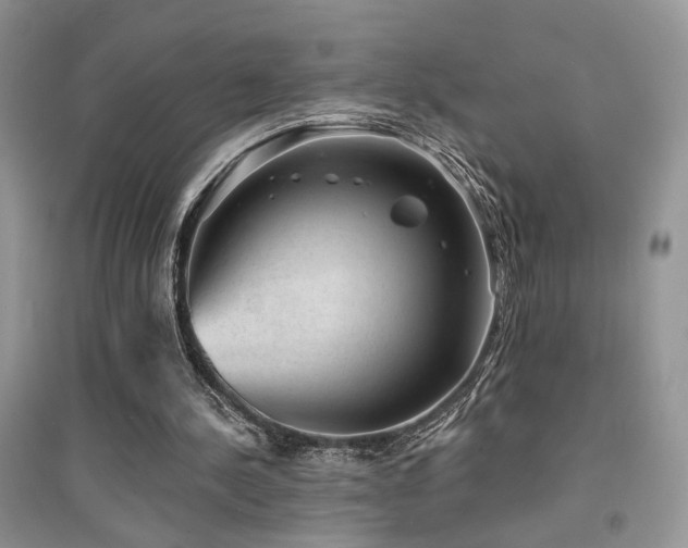 X0000094960244200711291447