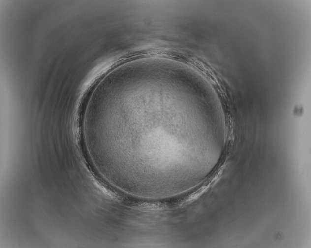 X0000094960245200711291447