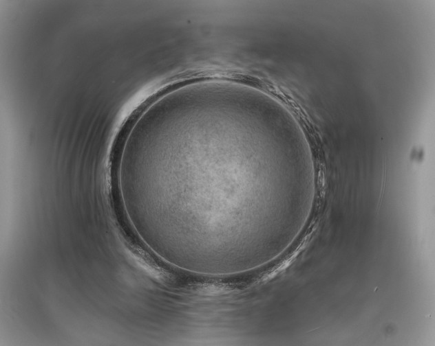 X0000094960246200711291447