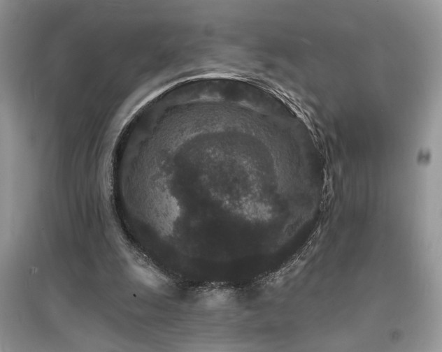 X0000094960247200711291447