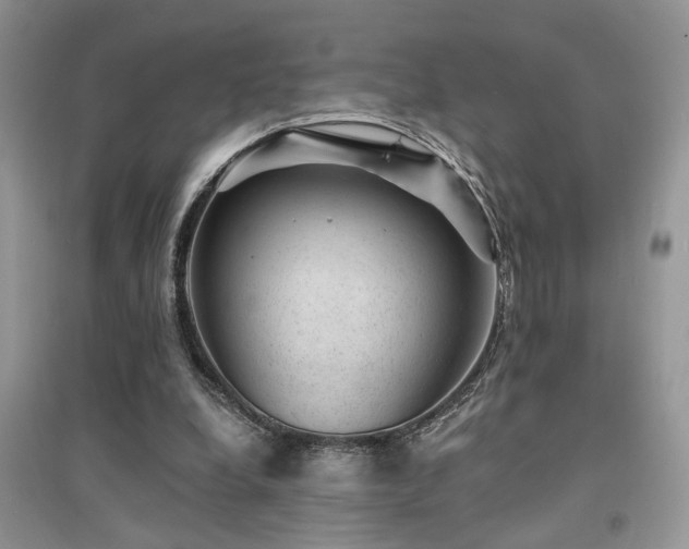 X0000094960248200711291447