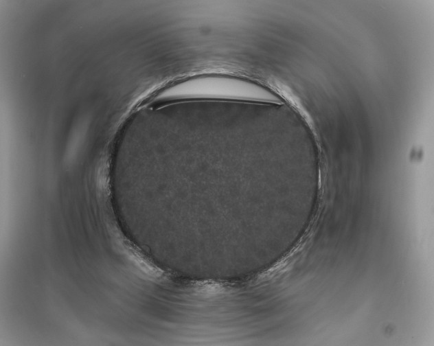 X0000094960249200711291447