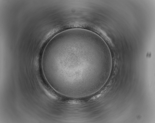 X0000094960250200711291447