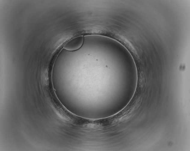 X0000094960251200711291447