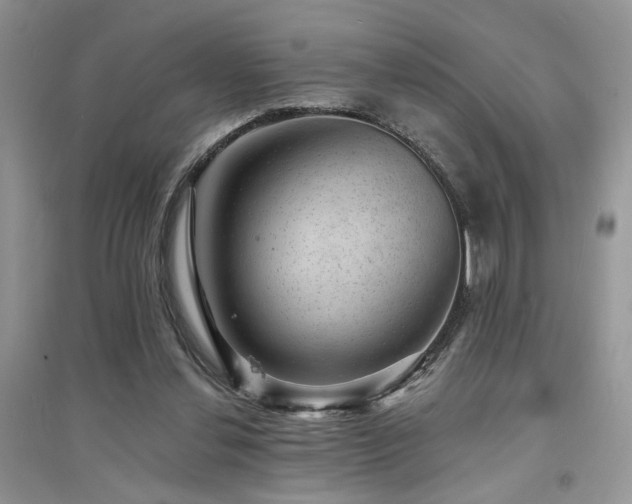 X0000094960252200711291447