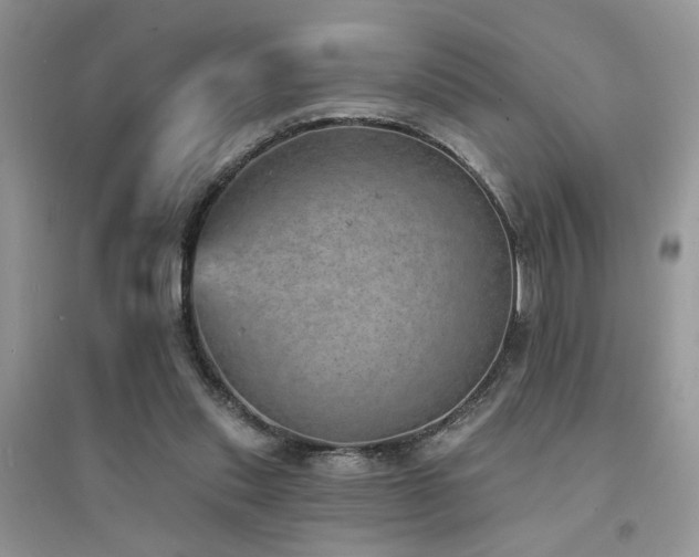 X0000094960253200711291447