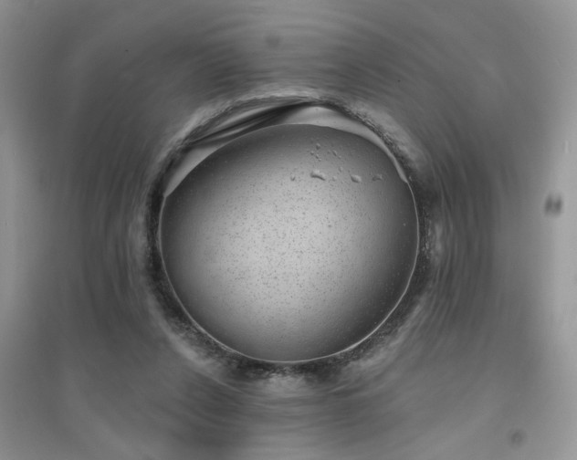 X0000094960256200711291447