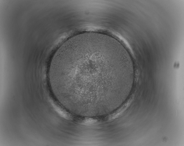 X0000094960257200711291447