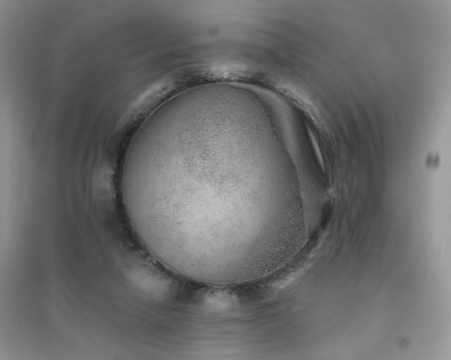 X0000094960258200711291447