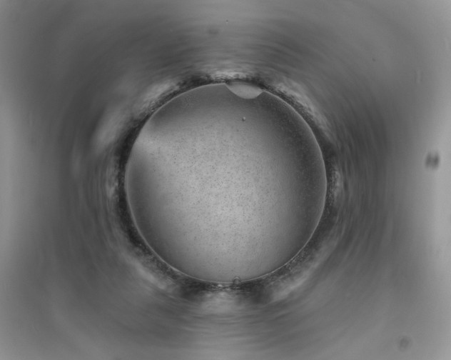 X0000094960259200711291447